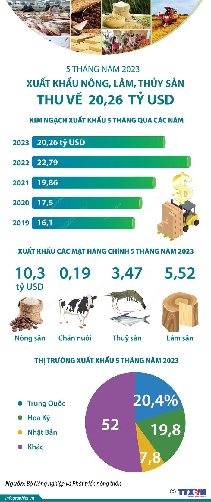 Hàng nông sản xuất khẩu nào thu về nhiều tiền nhất tháng 5/2023?